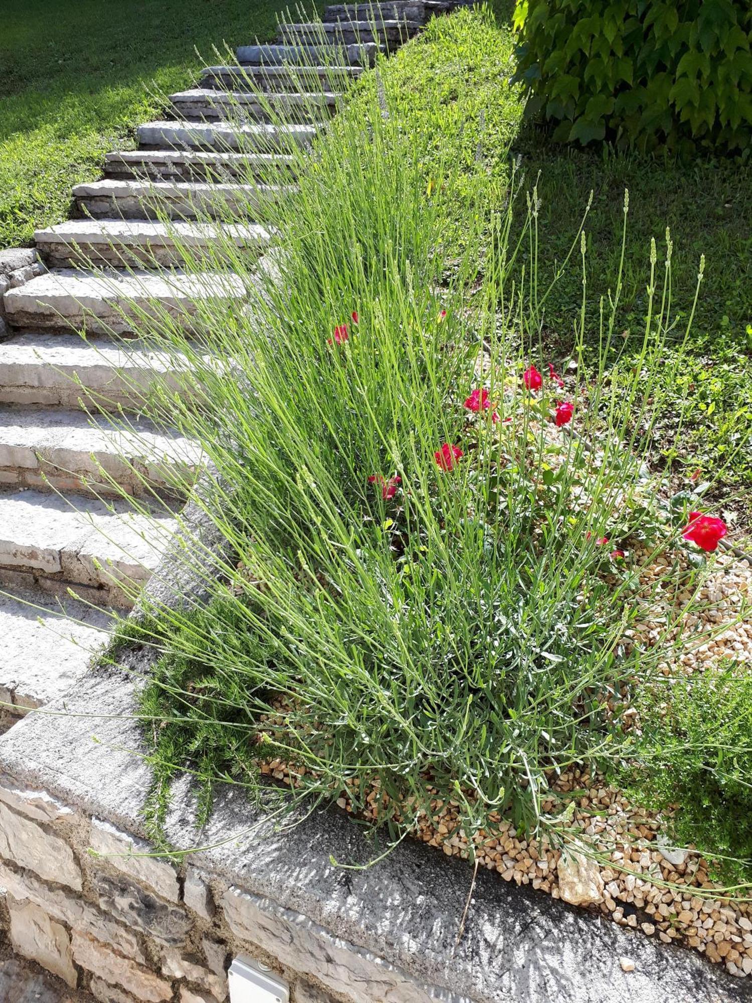 Ferienhaus In Tremosine Sul Garda Pieve (Lombardy) Exterior foto